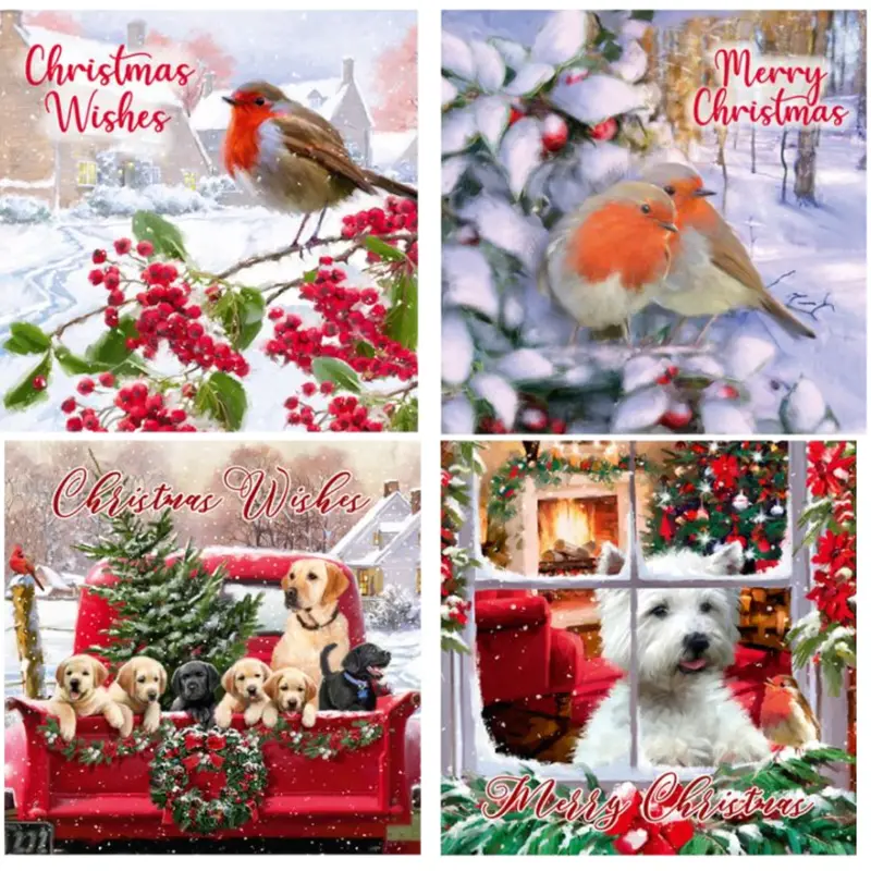 Christmas Cards 12 Pack Santa Cards Snow Scene Luxury Traditional Christmas cards 2 Design 0