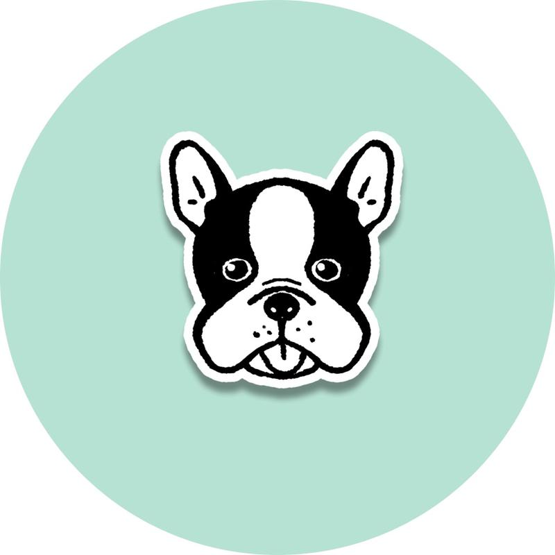 Pate for Dogs  - 200g, Gourmet and Nutritious Treat for Dogs, Various Flavours, Made in Britain 4