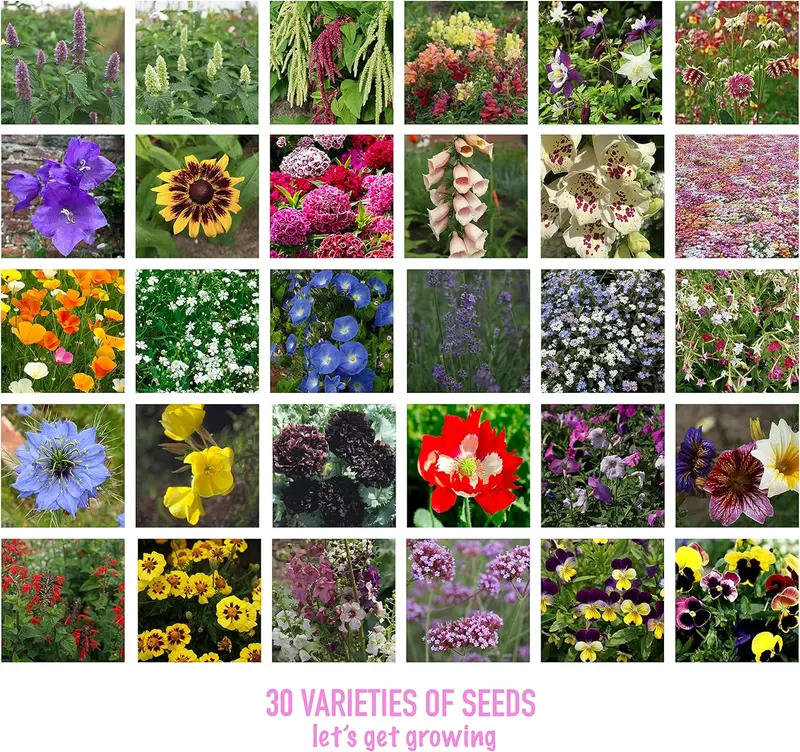 Product Introduction of Flower Seed Variety Pack - 30 Different Varieties of Flower Seeds to Grow Your Own. Butterfly and Bee Attracting, Grow Indoor and Outdoor. Christmas Gifts for Women and Men 5