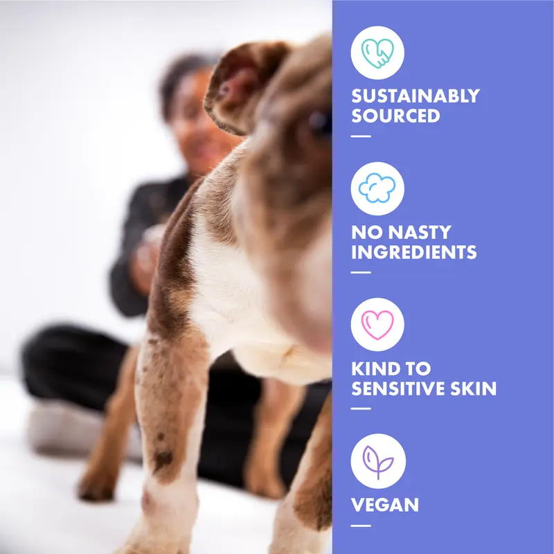 DotDotPet Deshedding Shampoo for Double Coat Dogs | Vegan, Oatmeal & Prebiotic | Sensitive Skin & Calming Scent | 280ml 4