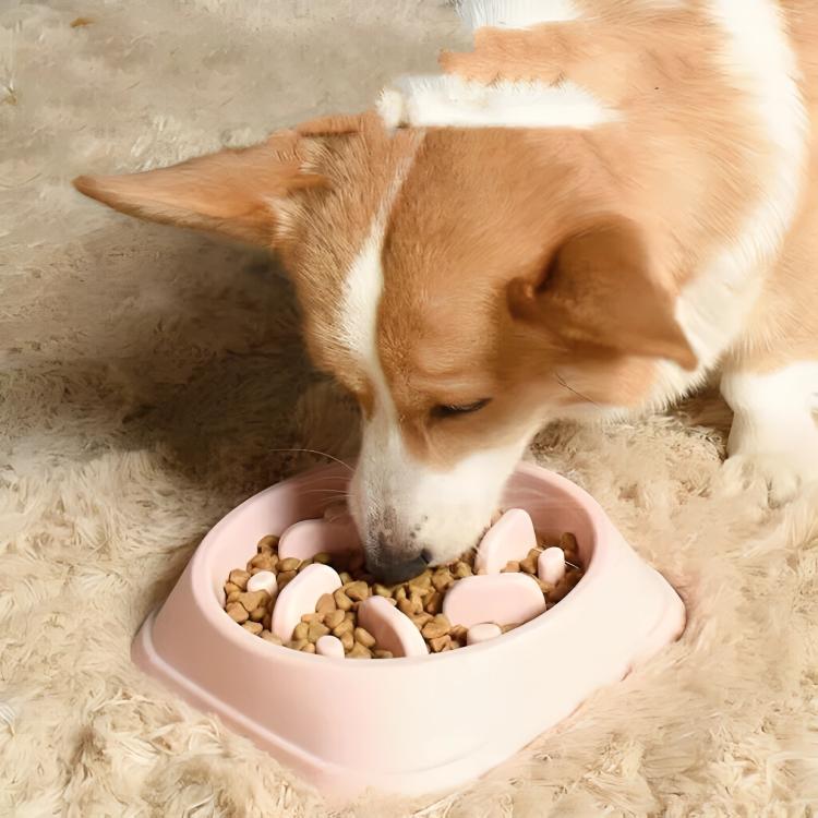 Dog Bowl Slow Feeder Pet Bowl Anti Bloating Anti Slip Feet Interactive Feed Dish 2