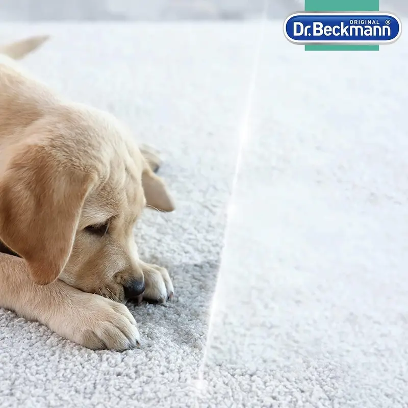 Pet Stain & Odour Remover, Eliminates stains and odours caused by pets, incl. applicator brush, 650 ml 3