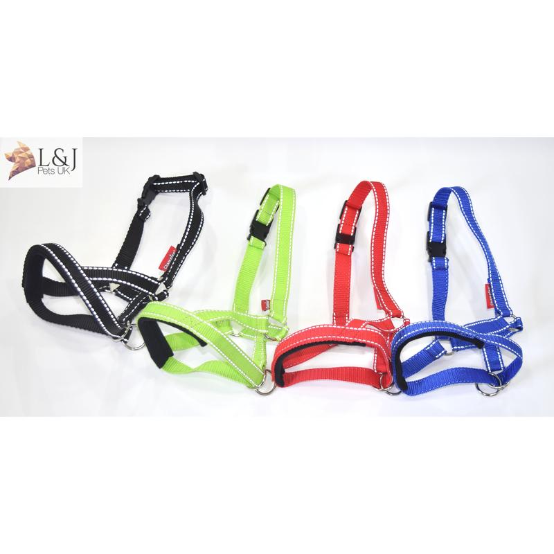 Reflective Padded Head Collar | Dog Training Halter Stops Dog Pulling Behaviour | Outdoor Hi-vis | Large, Small Dogs | Champion 1