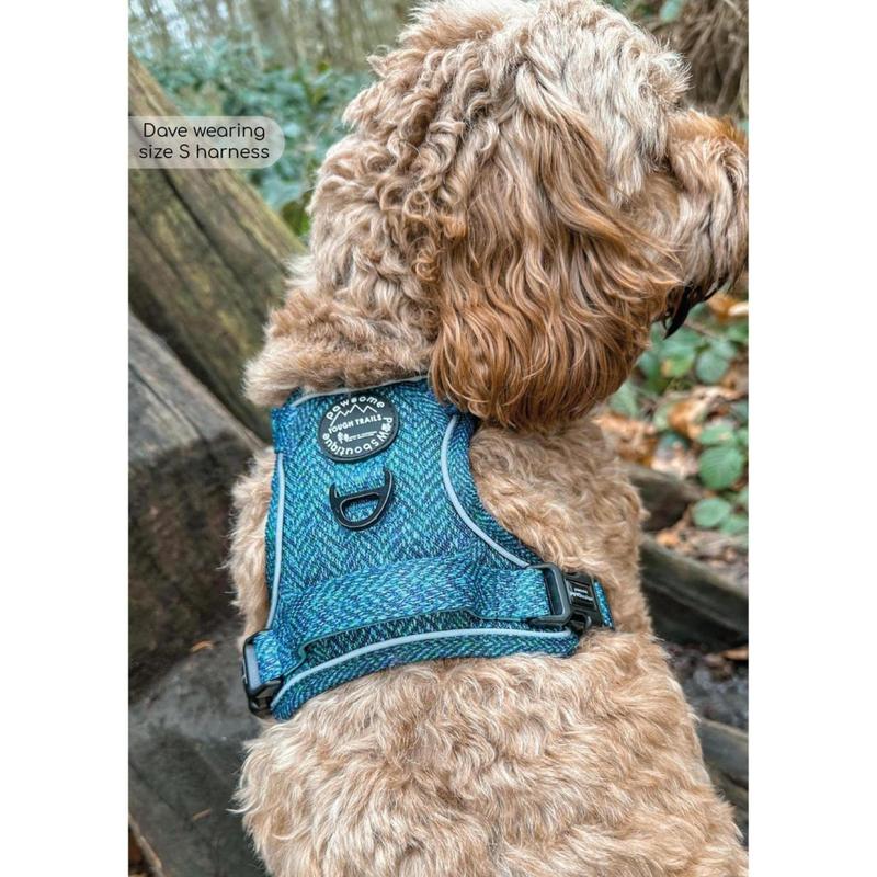 Tough Trails™ Harness - Country Teal 3