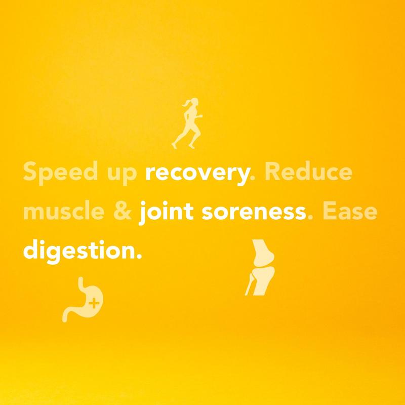 Turmeric Zooki - Muscle Recovery, Fitness, Joints, Gut & Brain Health 3