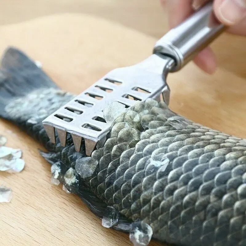 Fish Scale Remover Scraper Descaler Cleaner - Multi-Functional Stainless Steel Scale Removing Seafood Tool with Comfort Grip for Kitchen Utensils Peeler Remover Skin