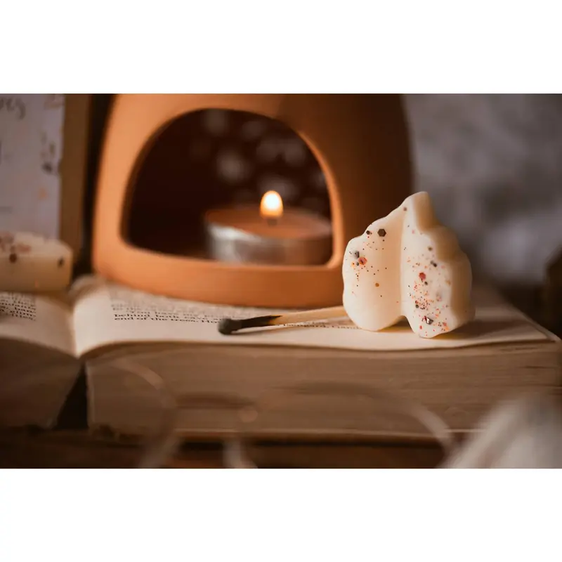 Autumn Spice Scented Leaves Shaped Wax Melts 3