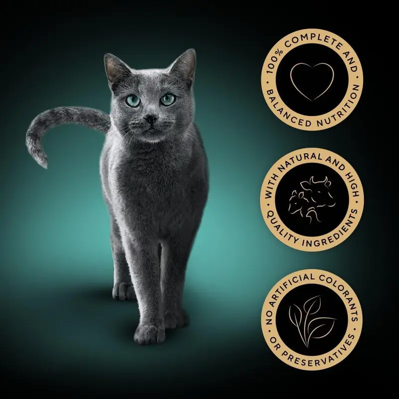 Sheba Fine Flakes Wet Cat Food Pouches - MultiPack Succulent Collection with Beef, Chicken, Lamb and Turkey in Jelly, Pack of 4 (4 x 12 Pouches x 85 g) 2