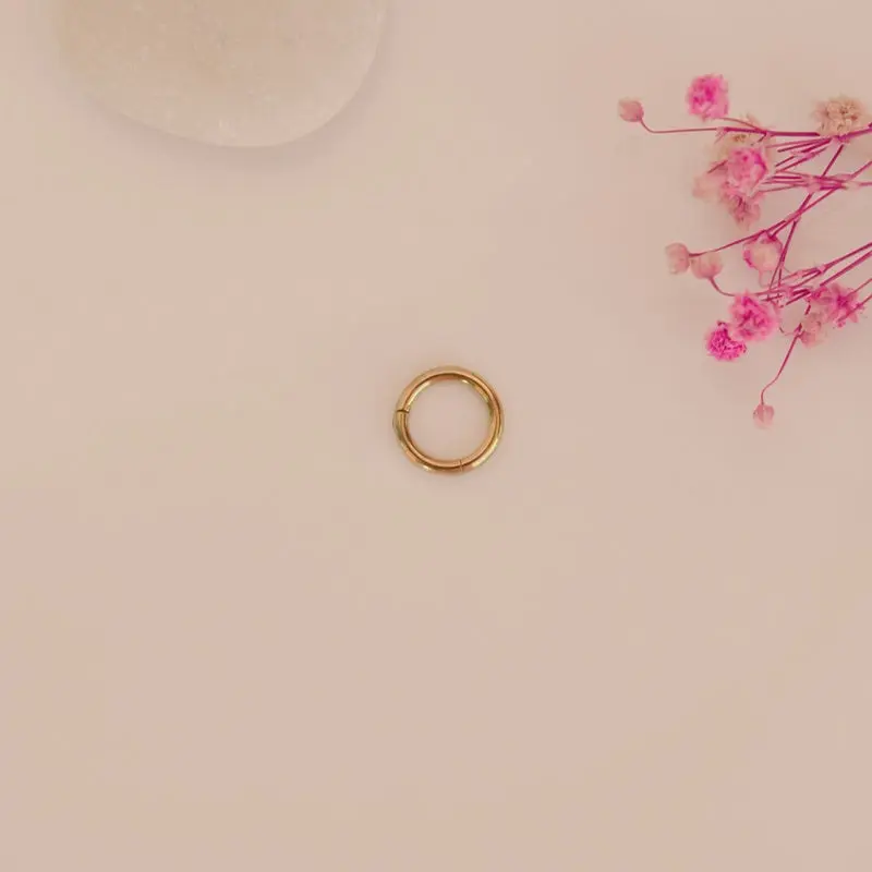 Plain Steel Earrings,  Ring Earrings, Hoop Earrings, Tragus Piercing for Helix and Cartilage Gold Silver Gift For Her 2