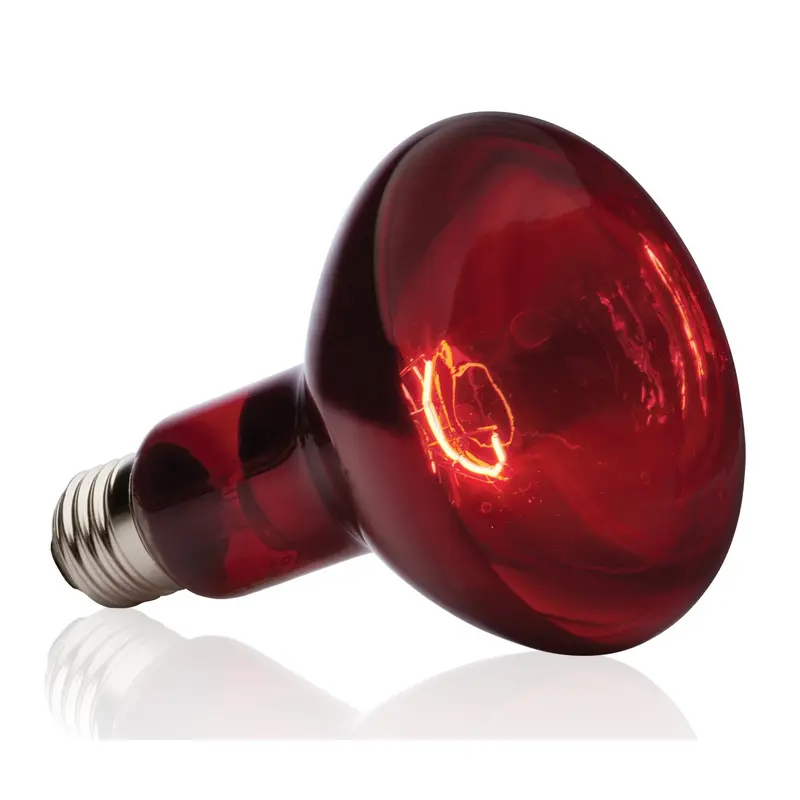 Exo Terra Heat Glo 1