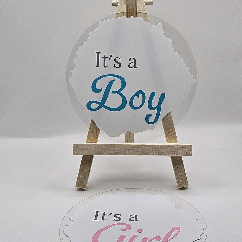 Personalized Baby Gender Sign - 10cm Round Acrylic Disc (Pink/Blue) - Decor 4