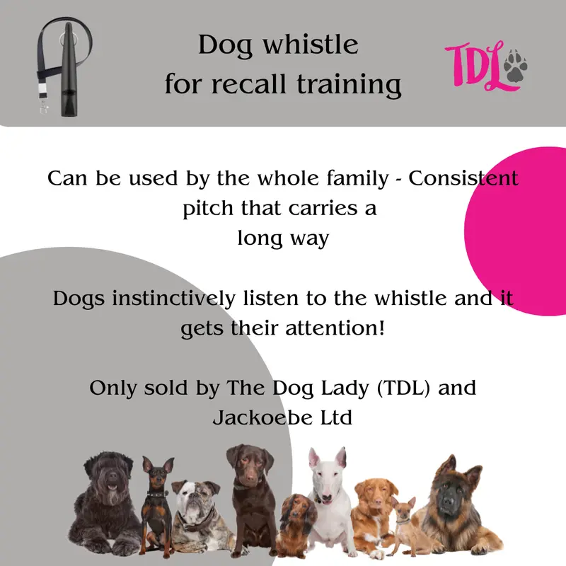 TDL Gun Dog Training Whistle with Lanyard - Dog Whistle with Loud, Solid Tone & Far Reaching Sound - Ideal High-Frequency Long-Distance Dog Recall Whistle for Most Breeds - TDL is the only Genuine supplier of the TDL Gundog Whistle 4