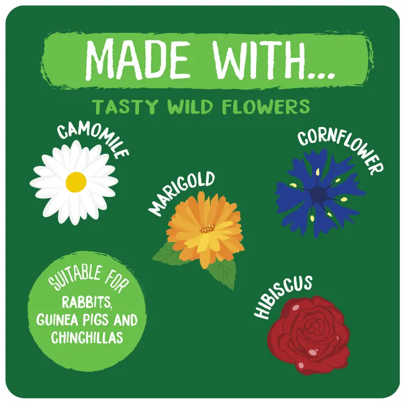 Burgess Excel Nature Snacks Forage Mixes for Small Pets - Botanical Mixes for Rabbits, Guinea Pigs and Chinchillas rabbit treats 4