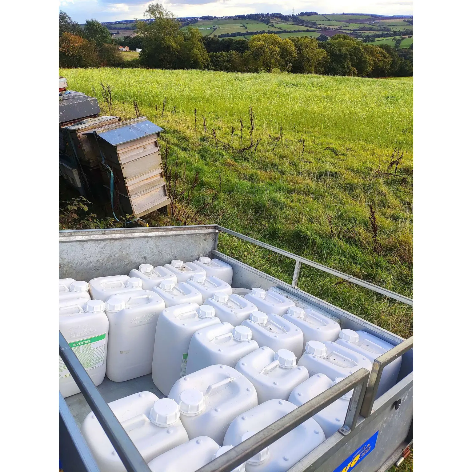 14l Jerry Cans