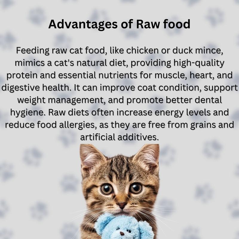 Cat Food Frozen Chicken Mince 16X250g Chubs. BARF Raw Diet real petfood 4