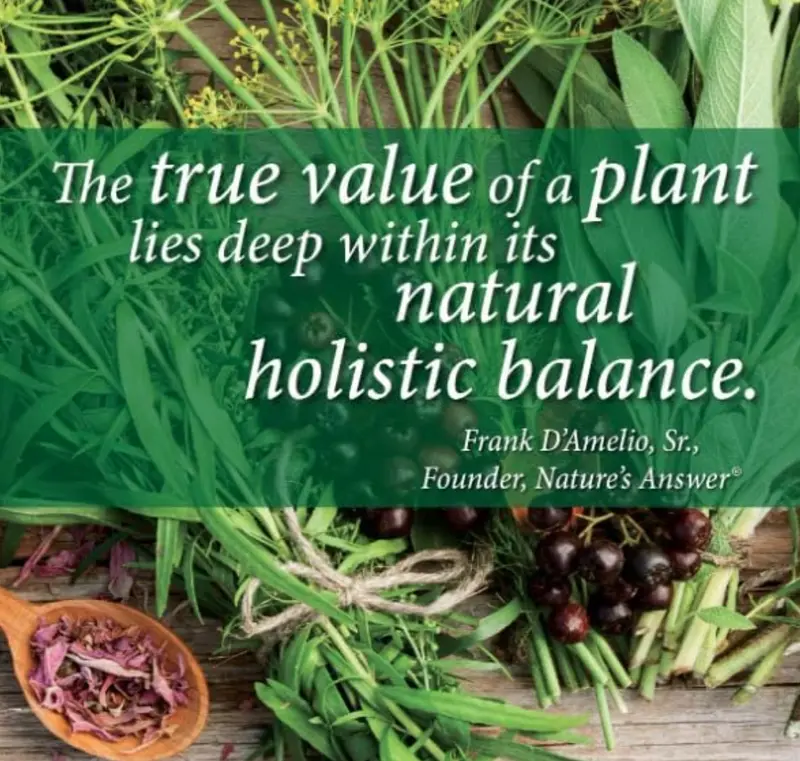 Natures Answer - Milk Thistle Seed (30ml) Liver Detox 3