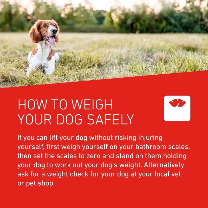 FRONTLINE WORMER - XL Worming Tablets for Dogs - 2 Tablets 2