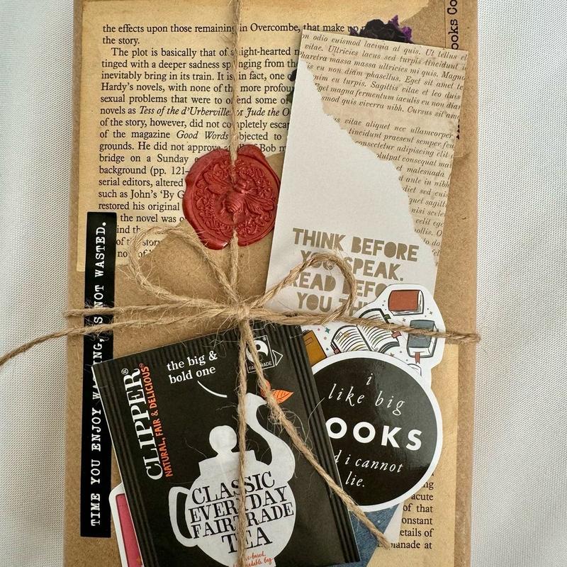 Contemporary Blind Date With a Book - Brand new paperback with bookmark, tea & stickers 2