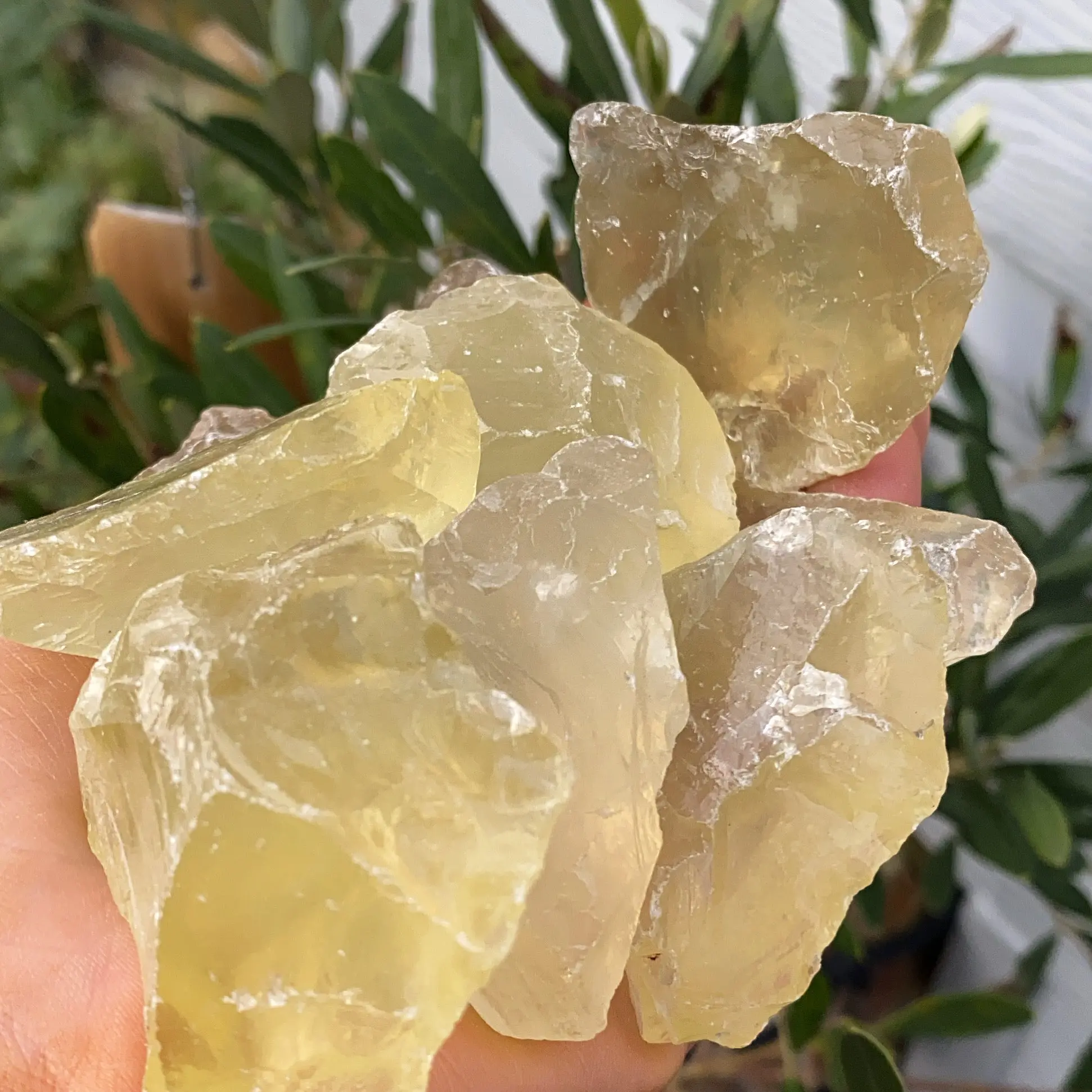 Citrine Rough Crystal